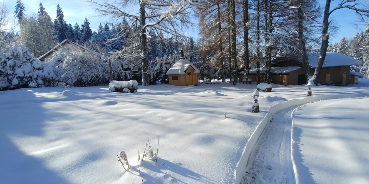 Chalet De Martimprey - Chalets - Gites - Chambres D' Hotes Et Spas 제라르메르 외부 사진