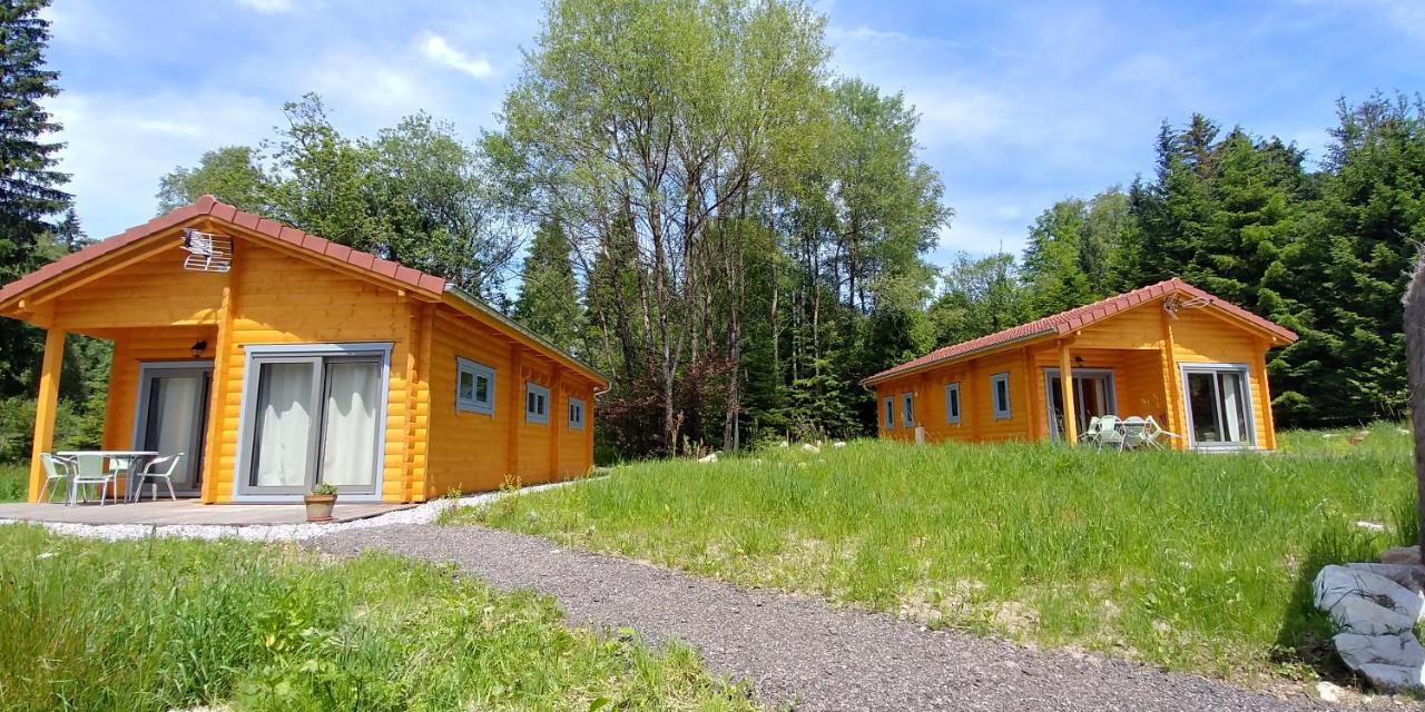 Chalet De Martimprey - Chalets - Gites - Chambres D' Hotes Et Spas 제라르메르 외부 사진