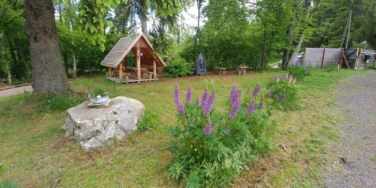Chalet De Martimprey - Chalets - Gites - Chambres D' Hotes Et Spas 제라르메르 외부 사진
