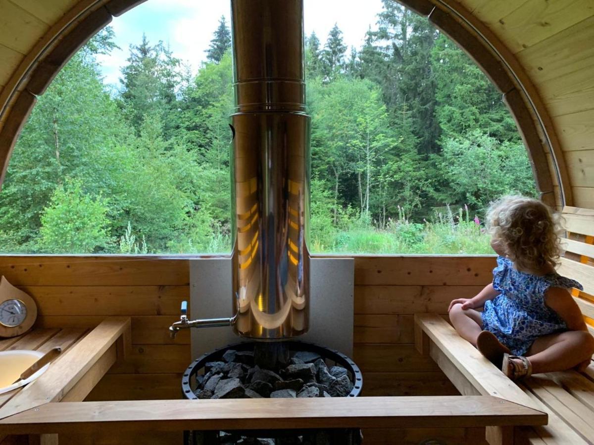 Chalet De Martimprey - Chalets - Gites - Chambres D' Hotes Et Spas 제라르메르 외부 사진
